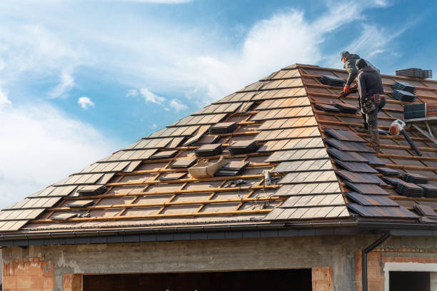 Best Roof Maintenance and Cleaning  in Summerfield, NC